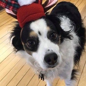 Meet your Posher, Deb